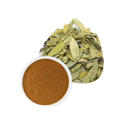 Organic Grade Sennoside Senna Leaves Leaf Extracts Powder For Weight Loss Uses By Suppliers in good price