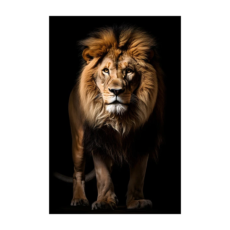 Modern Animal Black and White Photography picture on Canvas Crystal Paintings and Wall Arts  Lion home Decor for Living room