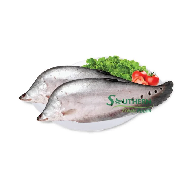 WR Farm Raised SFF Package price wholesale river type safety sea food fish Frozen Featherback Fish from Vietnam