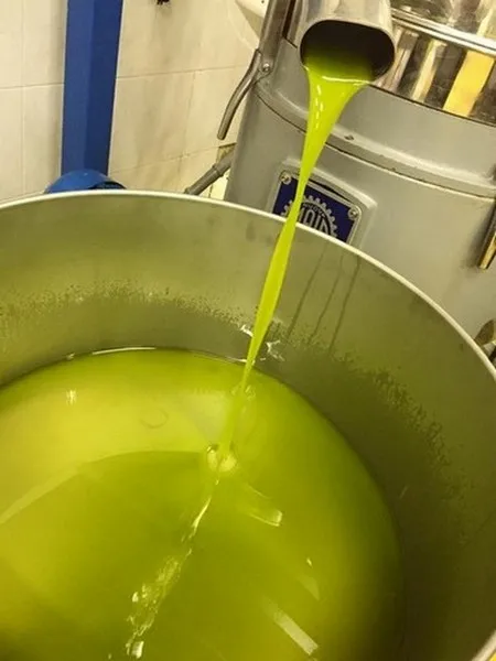 Wholesale Fresh Extra virgin olive oil Made in Italy 100% Italian olives classic taste 1 liter in can