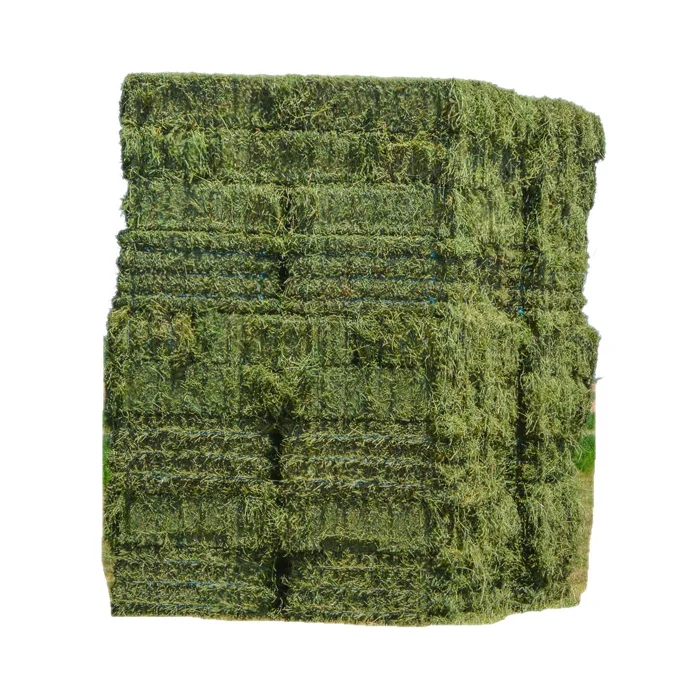 Quality alfalfa hay bays / Alfafa pellets / Dehydrated Alfalfa cubes timothy hay