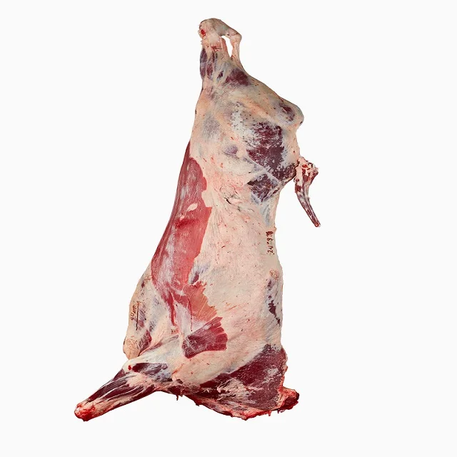 Lowest  price Beef Carcass