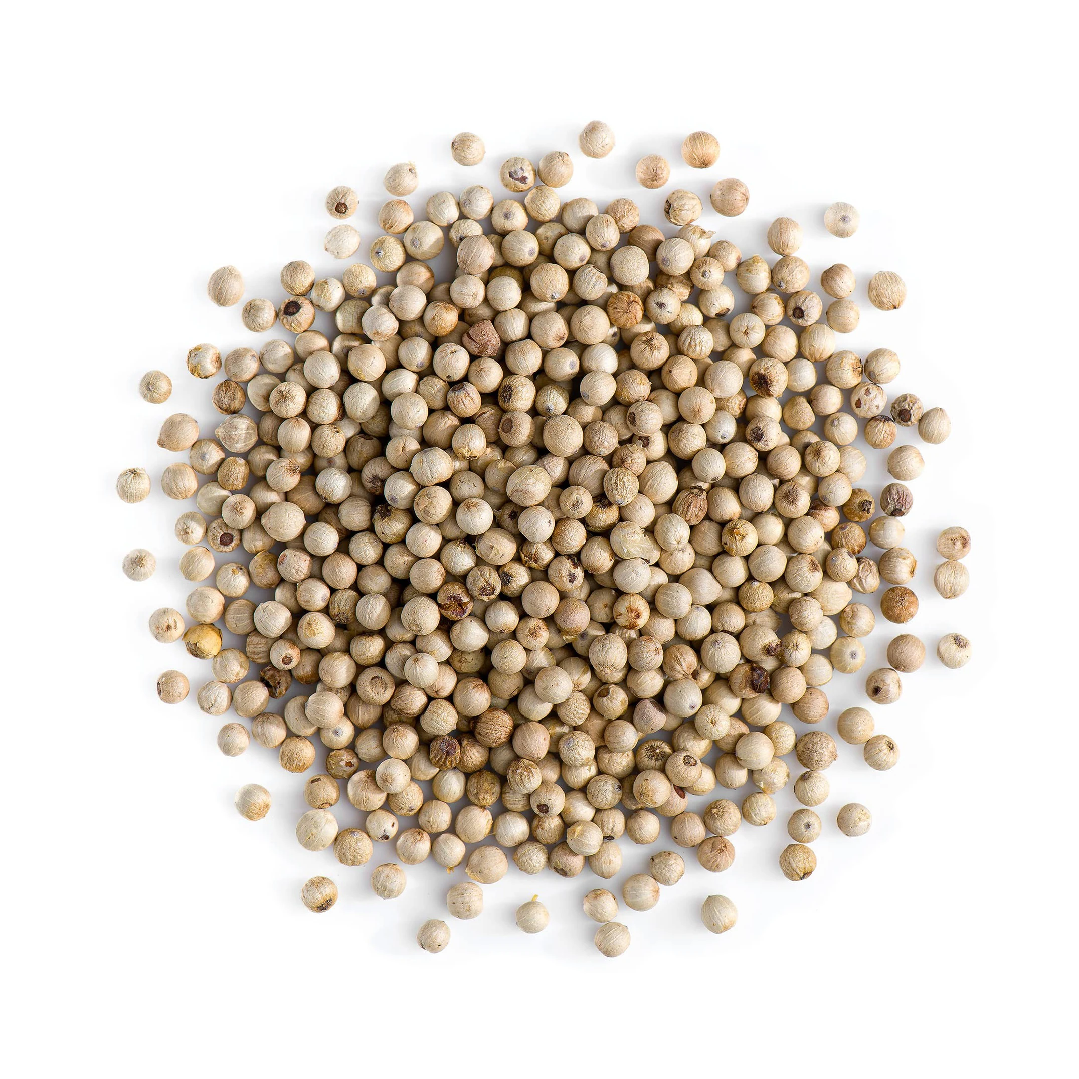 Wholesale bulk dried White pepper pure white pepper