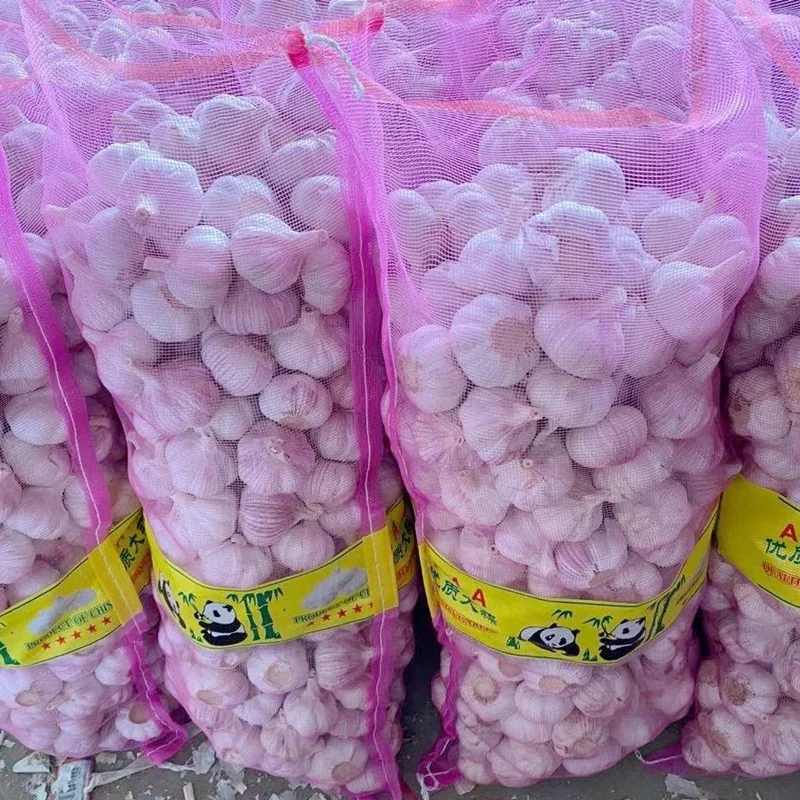 fresh pure /normal white garlic for export mesh bag
