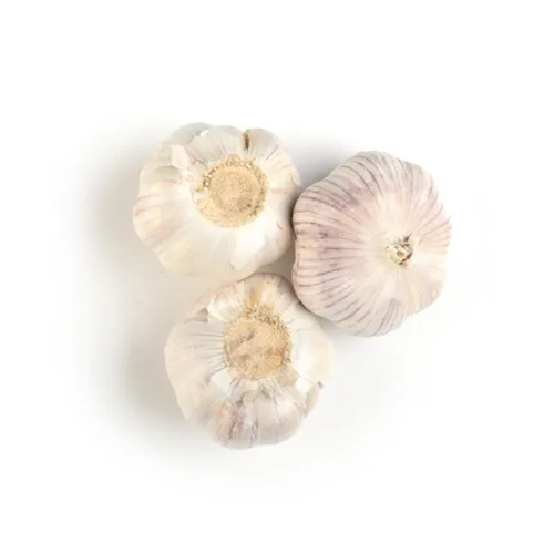 100% Organic High Quality Dried Garlic Fresh Style Peeled Solo Garlic for Food Use