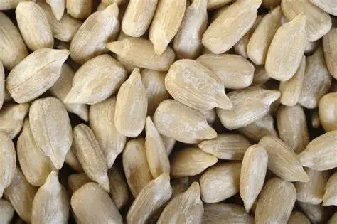 Best Seller Premium Confectionery Sunflower Kernels Bulgarian Origin New Crop Hulled Sunflower Seeds