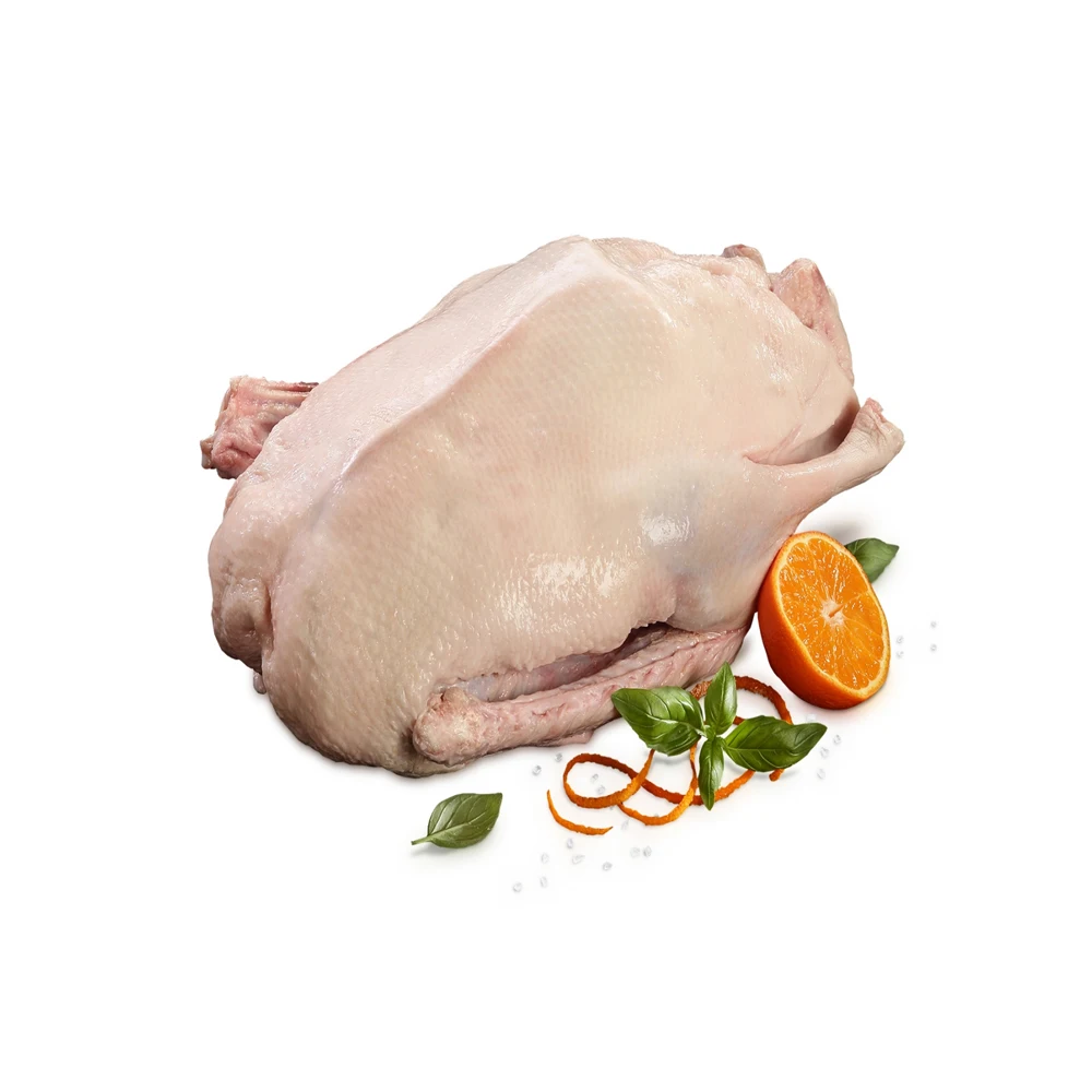 Best Factory Price Of Frozen Goose Fat Available In Bulk Stock With Custom Packing