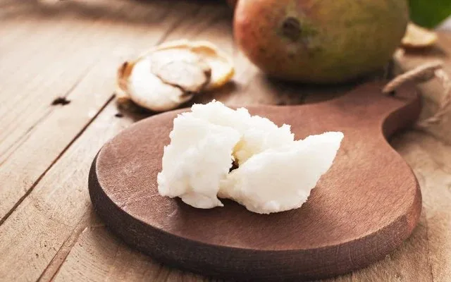 Wholesale Suppliers and Exporters from South India for High Quality Mango Butter Used as Skin Care with Good Packing and Price