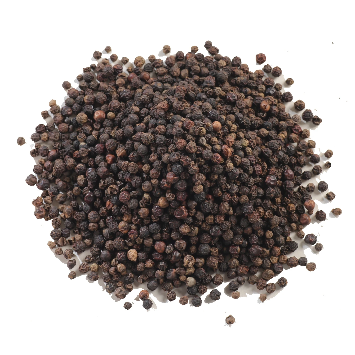 VIETNAMESE  BLACK PEPPER DIRECT FROM FARM  / WA 0084 848 337 448
