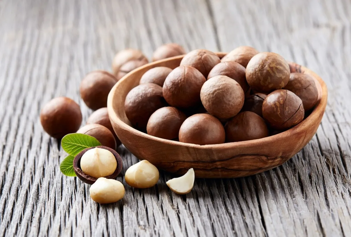 MACADAMIA - The Nut Is Famous For Its Distinctive Greasy Taste (Jennie Vdelta)