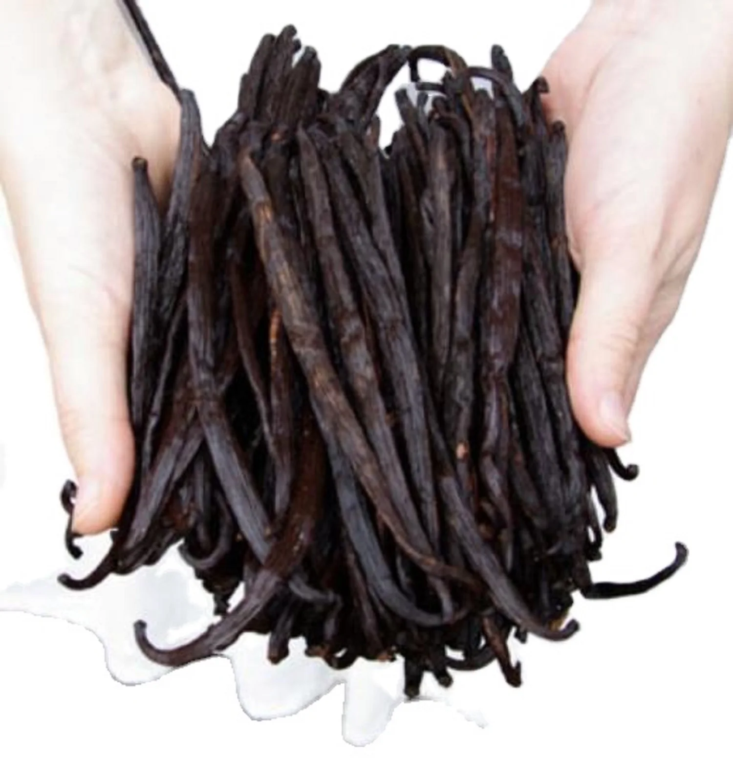 Natural Extract & Baking Vanilla Beans Pods Gourmet Bourbon Organic Powder Price