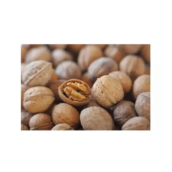 Best Quality Walnuts For Sale In Cheap Price