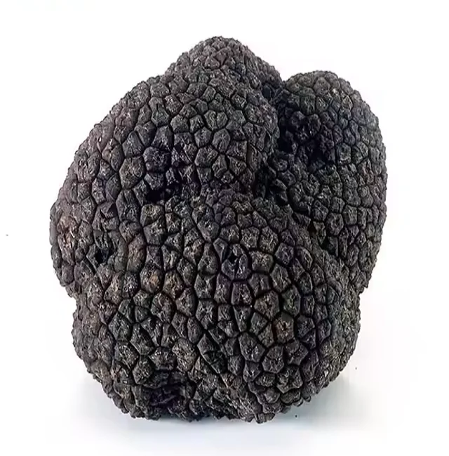 88 (6).png