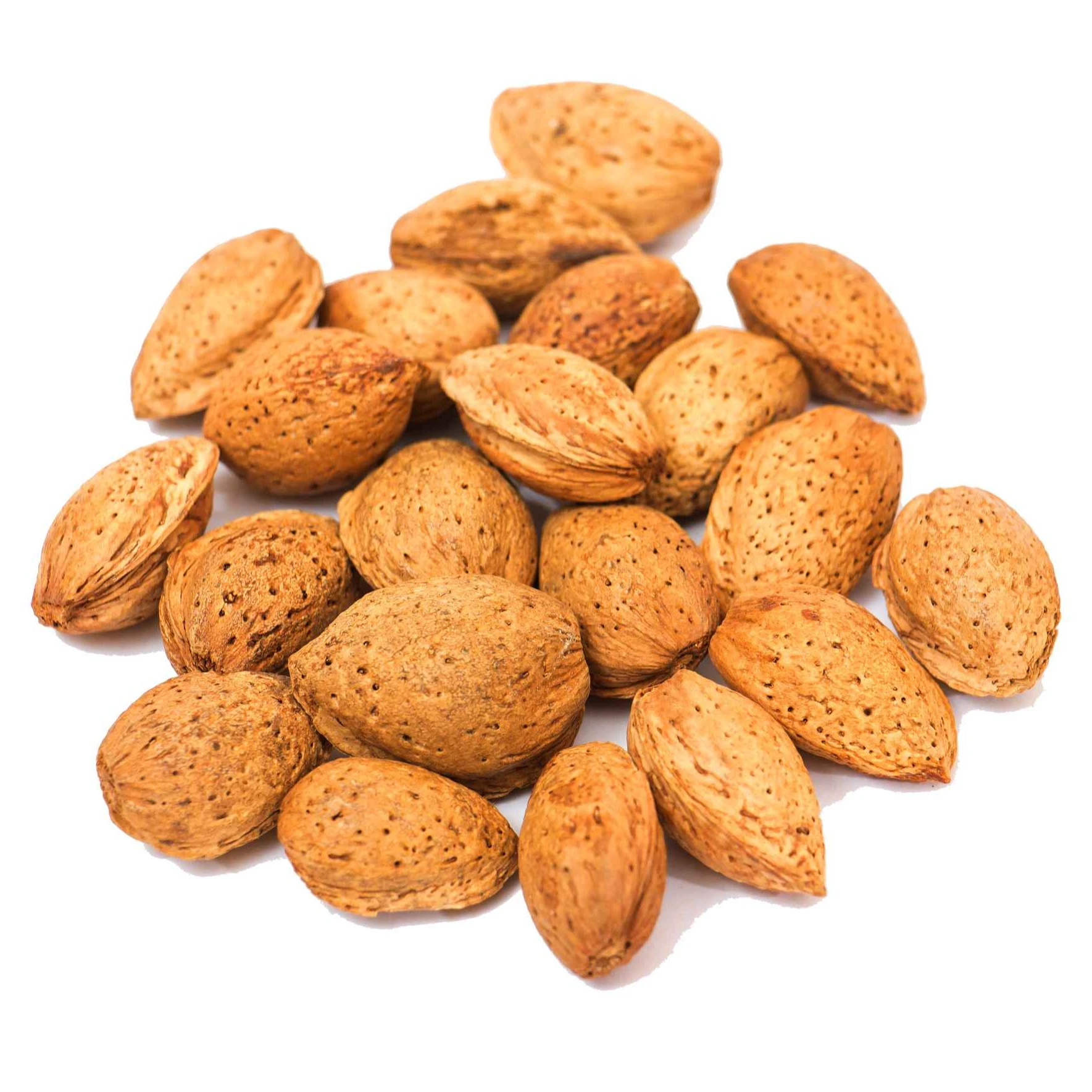 Packaged Salted Cashew almonds peanuts nuts dried roasted mixed nuts snacks at whole-sale cheap price