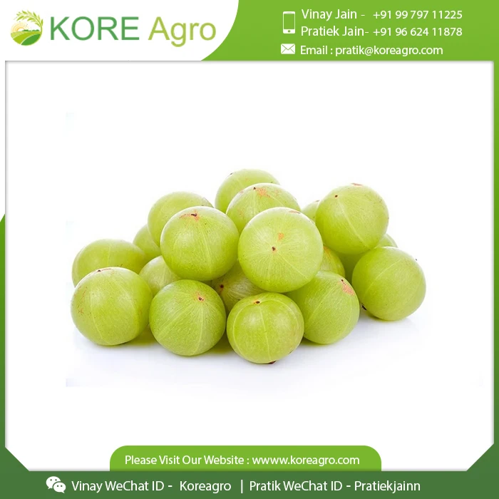 100% Pure Organic Whole Amla Beauty & Care Herbal Product Buy from Leading At Affordable Price