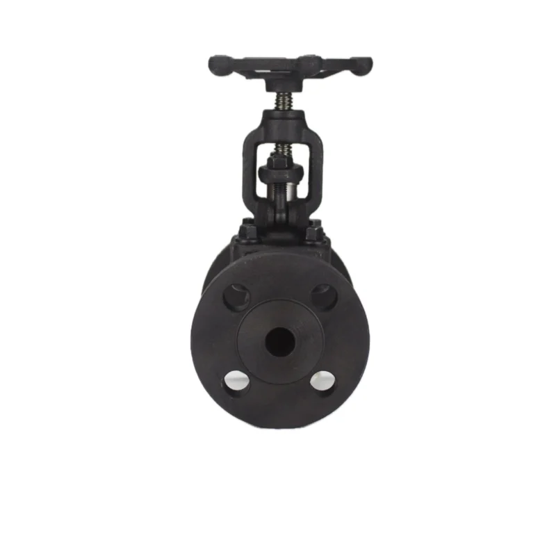API 600/602 Forged Gate Valve, 150lb-900lb, High Mpa, SS304/316, Wenzhou, 3-Year Warranty