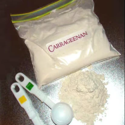 PREMIUM QUALITY FOOD-GRADE CARRAGEENAN POWDER from SEA MOSS  FOR THICKENING AND STABILIZING- IN VIETNAM