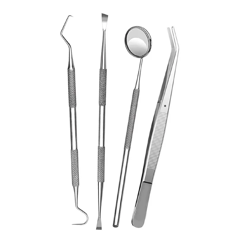 Perfect Industry 4pcs Dental Teeth Cleaning Kit Dentist Floss Plaque Remover Oral Care Tooth Tools / Dental Examination Kit