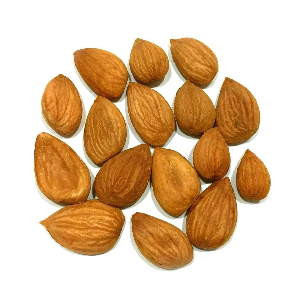Fast Shipping Dried Raw Apricot fresh apricot kernels