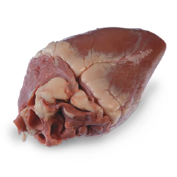 Frozen Fresh Halal  Frozen Lamb Heart