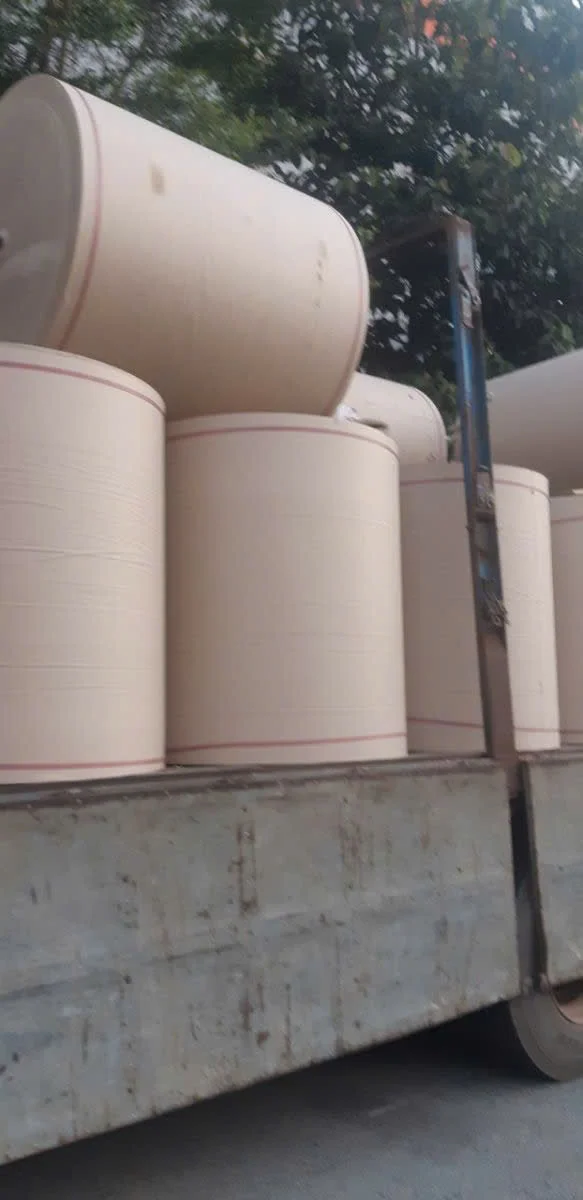 MADE IN VIETNAM 1Manufacturer Wholesale kraft paper price per ton single pe coated white kraft paper raw material Jumbo Roll