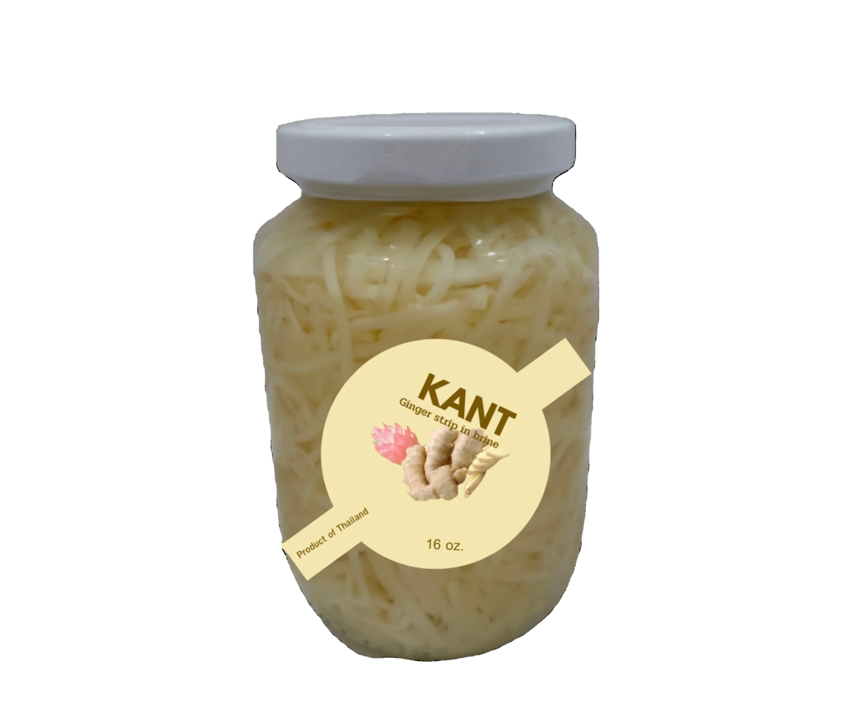 Premium Product Vegetable Herbal Preserve KANT Ginger Strip In Brine From Thailand OEM new arrivals bottle grass box jar can