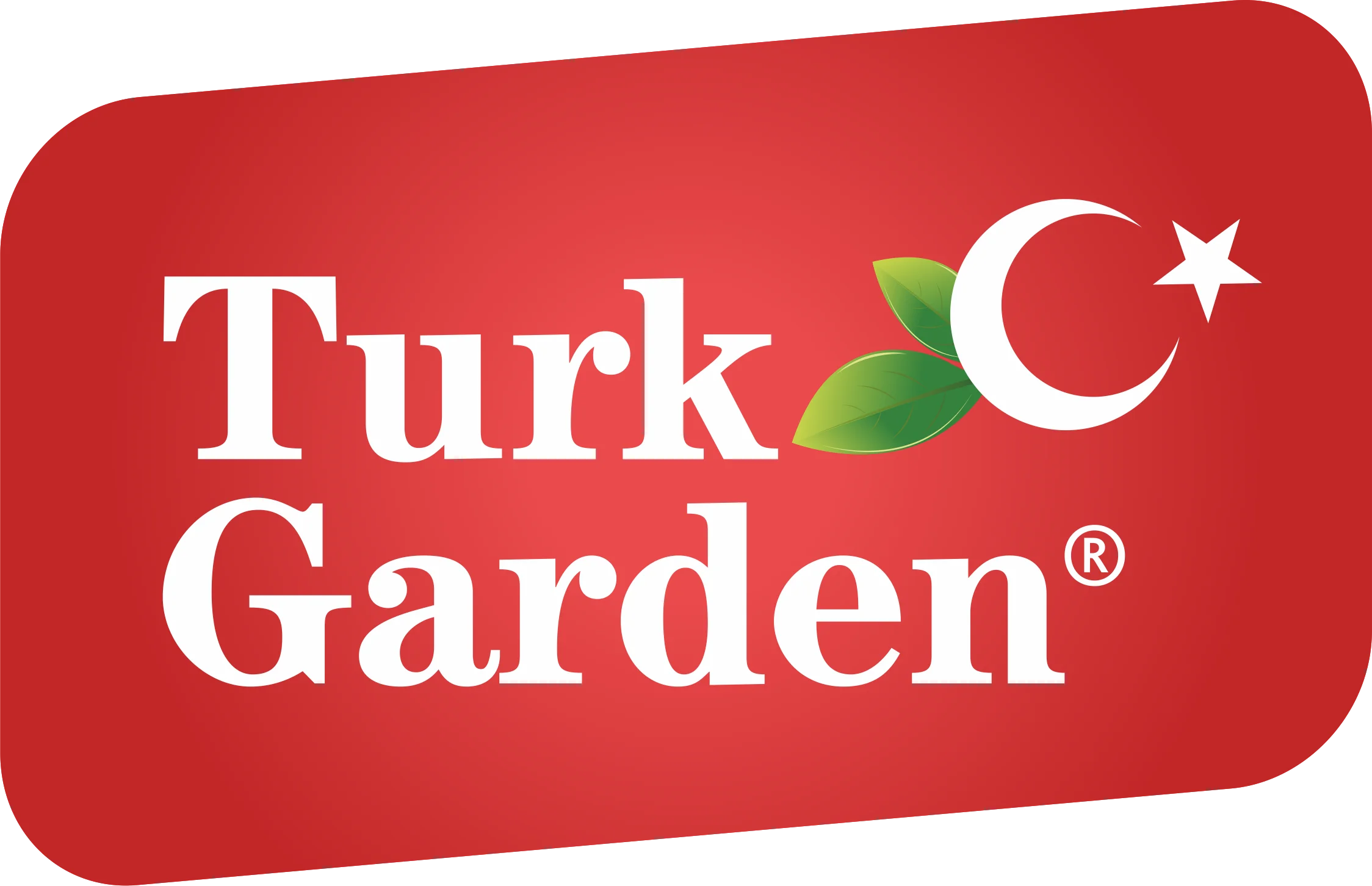 Chicken Egg From Turkey Fresh and Natural Egg Wholesale Price Animal Products Eggs Best Price Best Quality