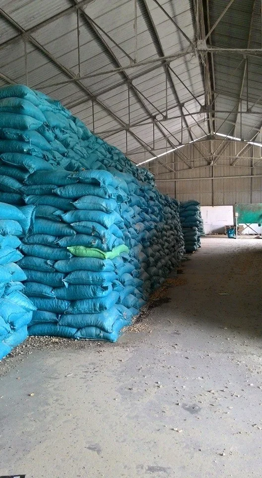 BEST PRICE BEER MEAL RESIDUE/ DRIED BREWERS GRAINS - BREWERS YEAST POWDER FOR ANIMAL FEED - Jolie ( whatsapp +84902679738)