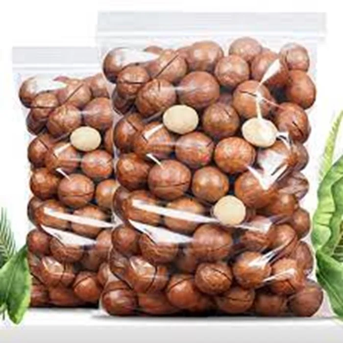 Buy Premium Organic Roasted Macadamia Nuts in Dark Shell Color Baked Clean Brown Healthy Snack Stock Now for Sale