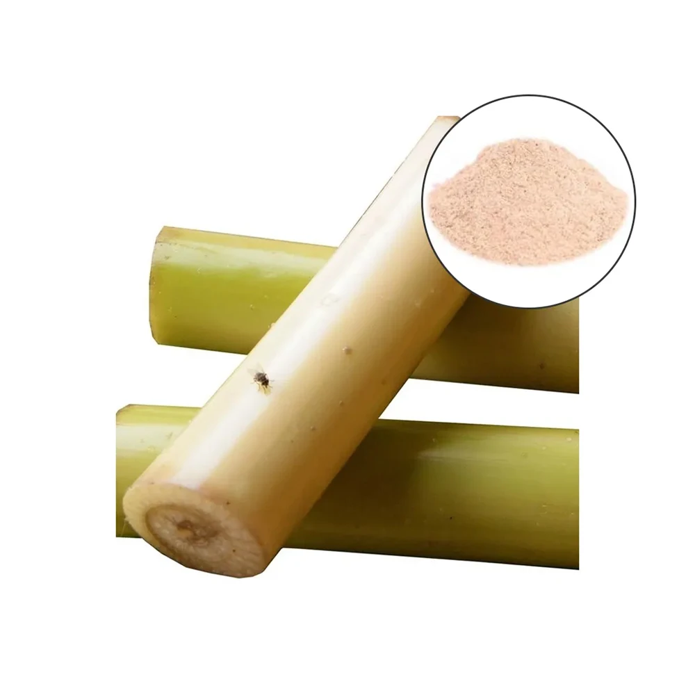Best Quality Good  Ever Banana Stem Powder Fruit Powder Available At Wholesale Price