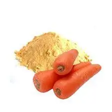 New Arrivals Food Grade Red Radish Pigment Freeze-Dried Spray Dried Carrot Powder Good Price Sales In India