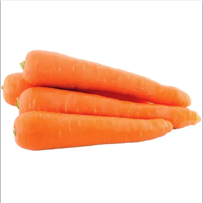 chinese fresh carrot S M L 2L 3L Shandong new crop Qingdao port