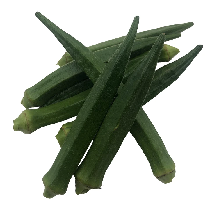 Premium Quality Imported Grade  Herb Temperature measuring Quality Selecting Fresh Galangal for Consuming Okra