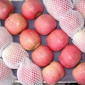 Quality new crop organic natural sweet and savory juicy delicious fruit fresh fuji apple