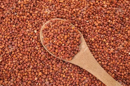 Лучшее качество оптовая продажа 100% органический кормовой сорт красный Quinoa оптом низкая цена из Индии лучшая рыночная