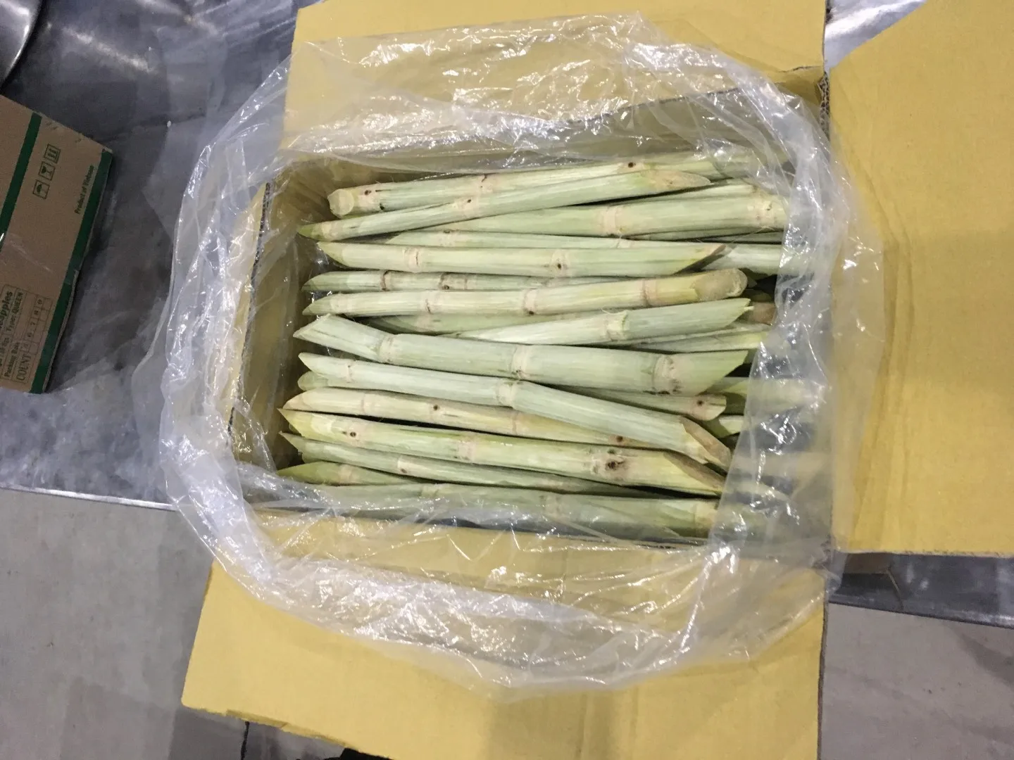 Wholesale Premium Quality Competitive Price FROZEN FRESH SUGAR CANE From Viet Nam