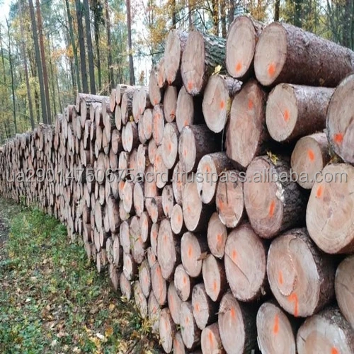 Pine Sawn Logs4.jpeg