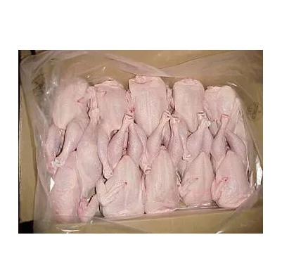 Premium Supplier Halal Frozen Whole Chicken Halal Chicken Processed Meat from Brazil
