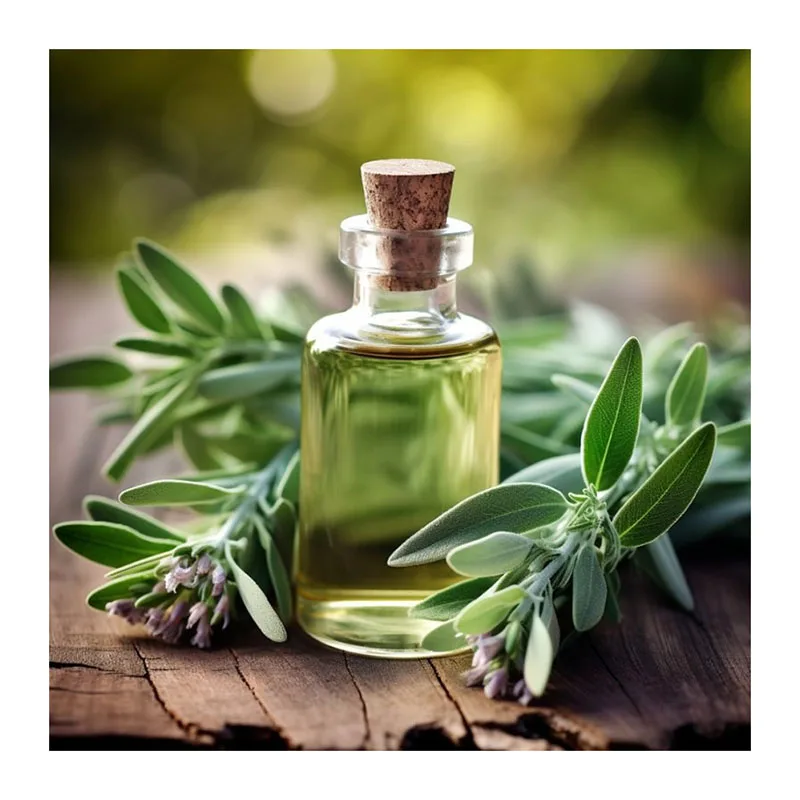 Wholesale Caraway Essential Oil (Carum carvi) Premium Private Label OEM Essential Oil