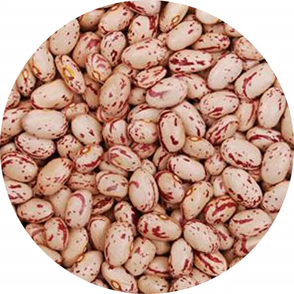 Оптовая цена, высокое качество, сушеные красные светлые пятнистые фасоли и легкие фасоли для сахарных бобов Пинто
