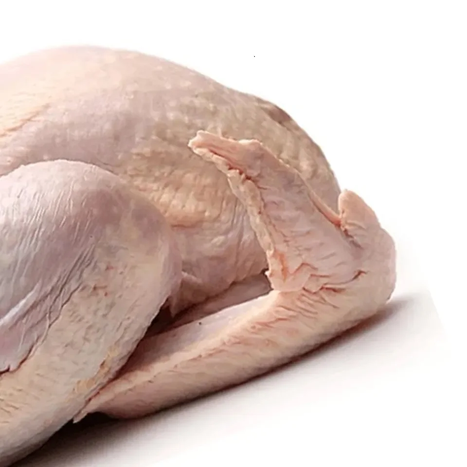 Food grade HALAL certified vacuum packing products from manufacturer whole chicken body carcass for food