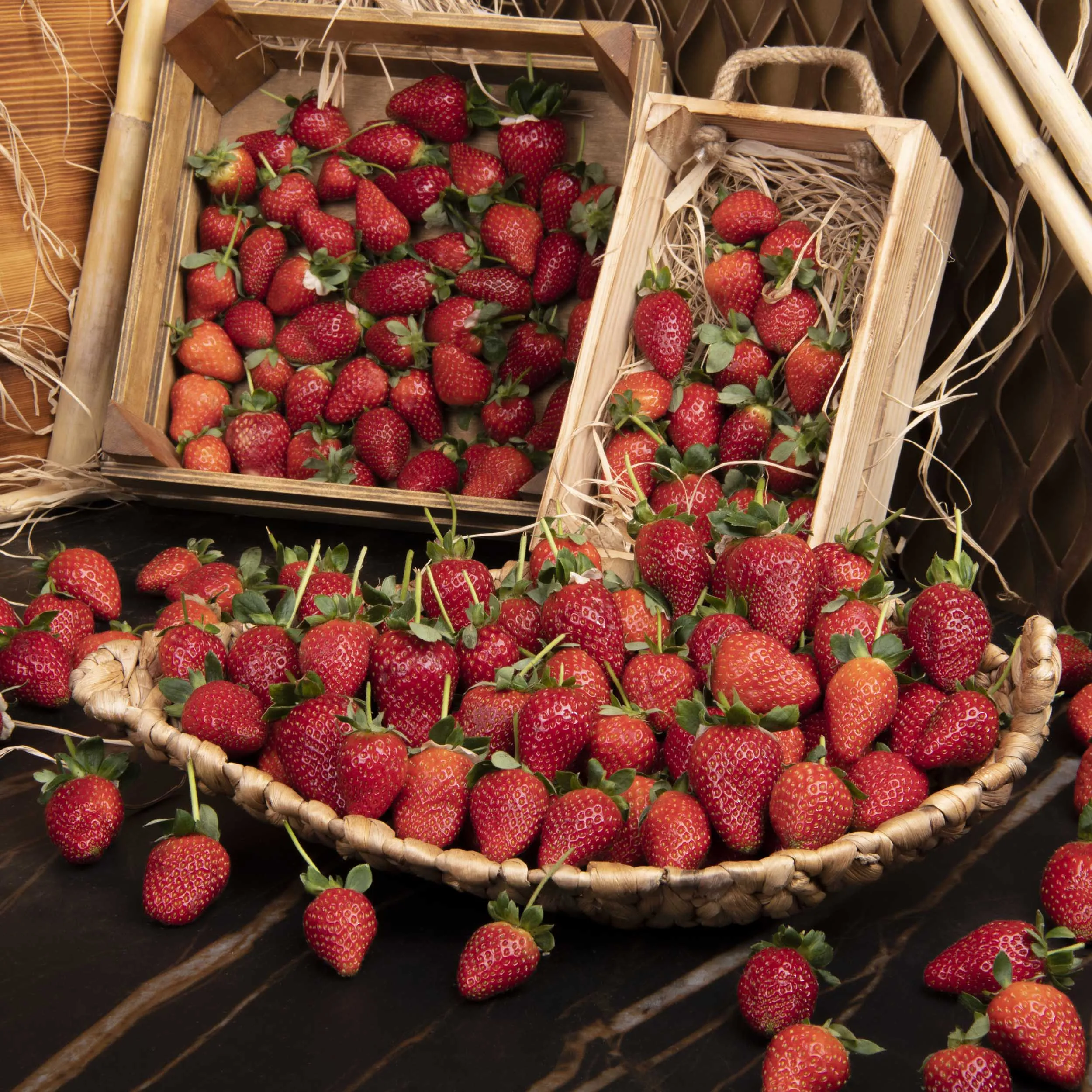 PANAYIR Изысканная свежая клубника 250 г в упаковке, Турецкая клубника, лучшее качество, Лучшая цена, клубника