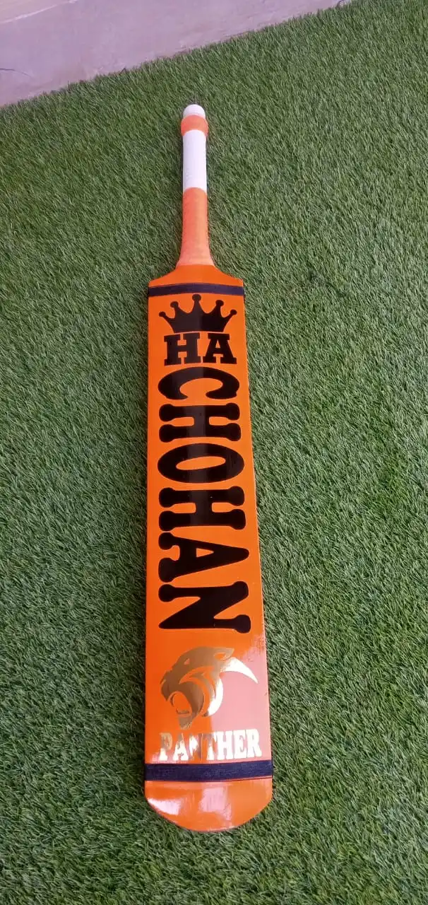 Best Kashmir Willow Cricket Bat