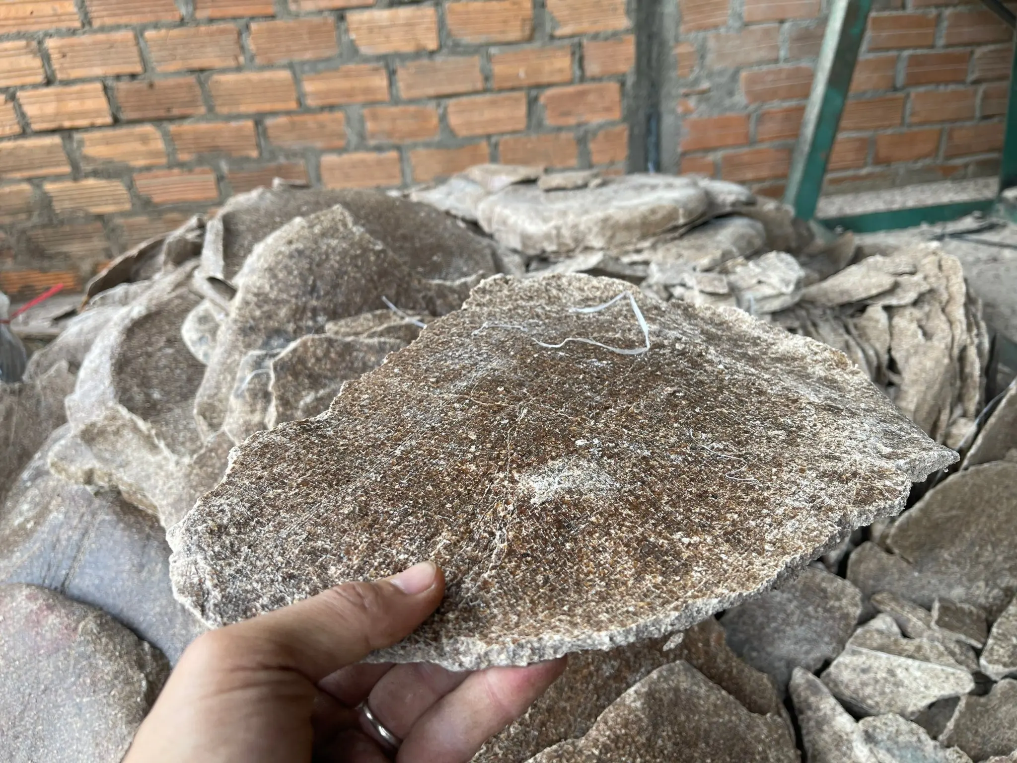 Groundnut oil cake cheapest price for animal feed and fertilizer additive from Vietnam manufacturer/Cheap Vietnam peaut oil cake