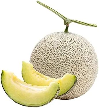 Japanese Musk Melon - Earls Melon