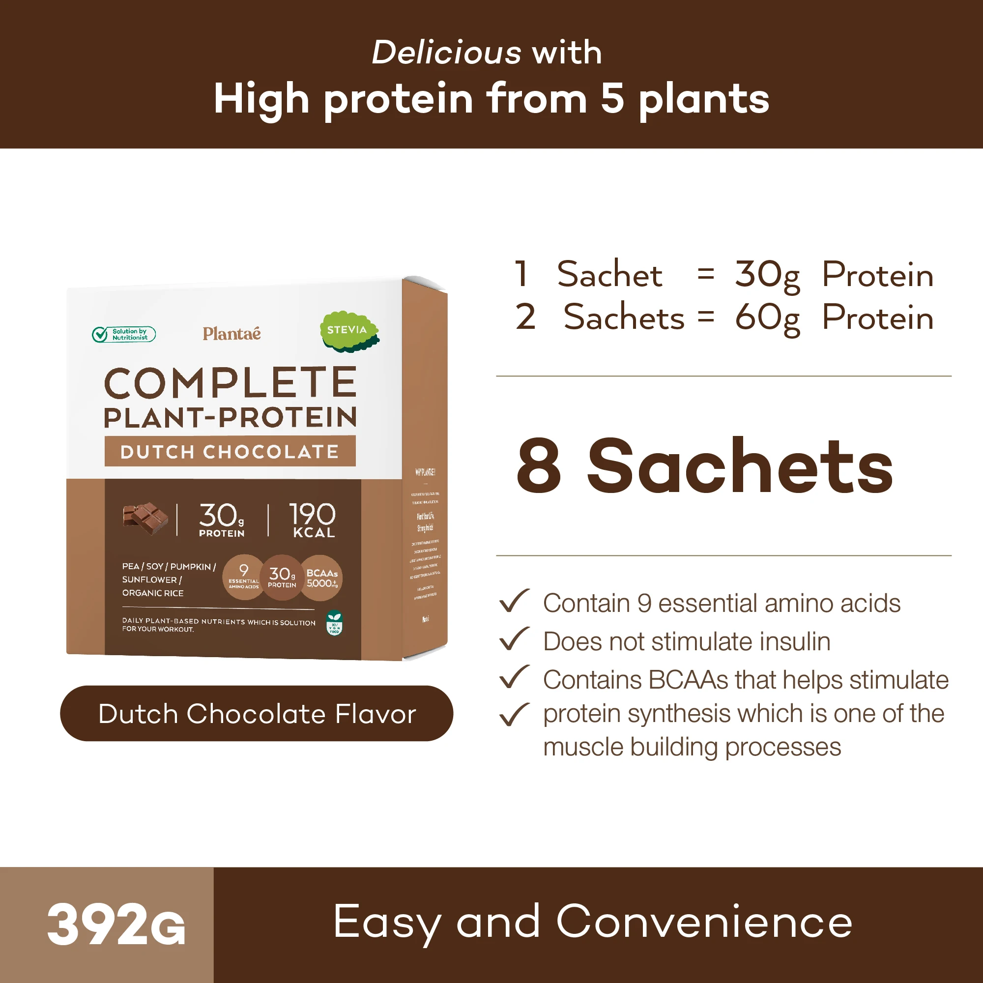 New! Recommended High Quality Complete Plant Protein Box Dutch Chocolate Flavor from Thailand High Protein