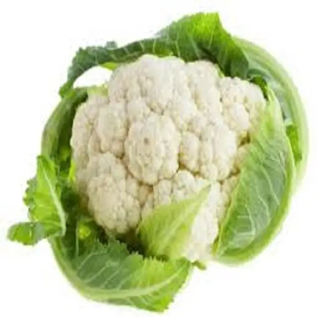 Agricultural produce fresh cauliflower fresh food with cheap price cauliflower