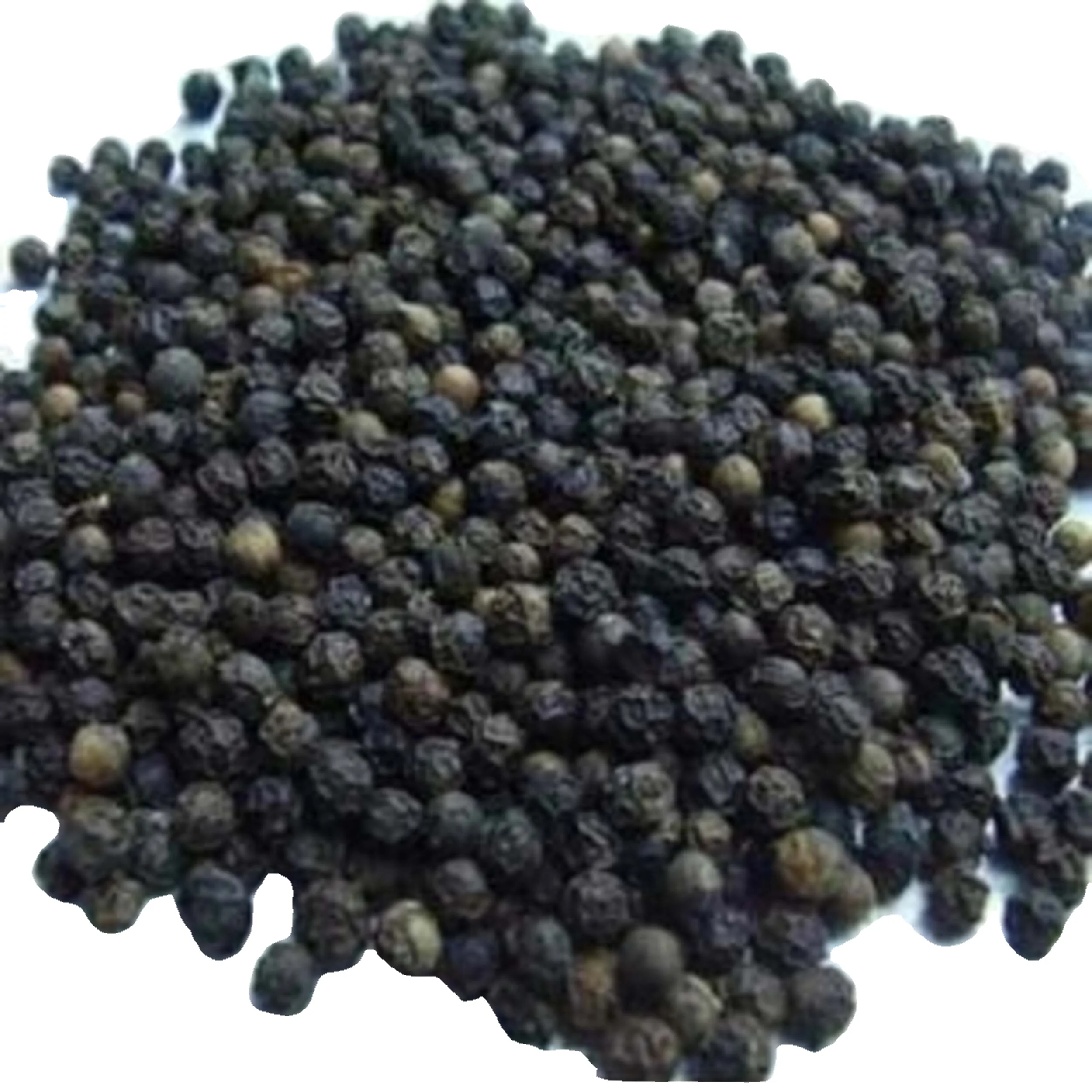 Black Pepper / Premium Quality Dried Black Pepper For Sale