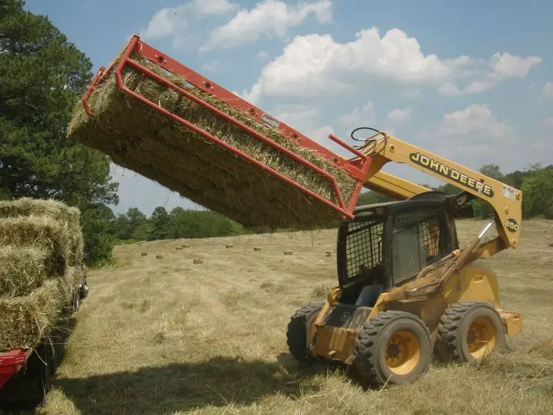 Affordable High-Quality Alfalfa And Timothy Hay For Animal Feed At Discounted Prices Best Animal Feeding