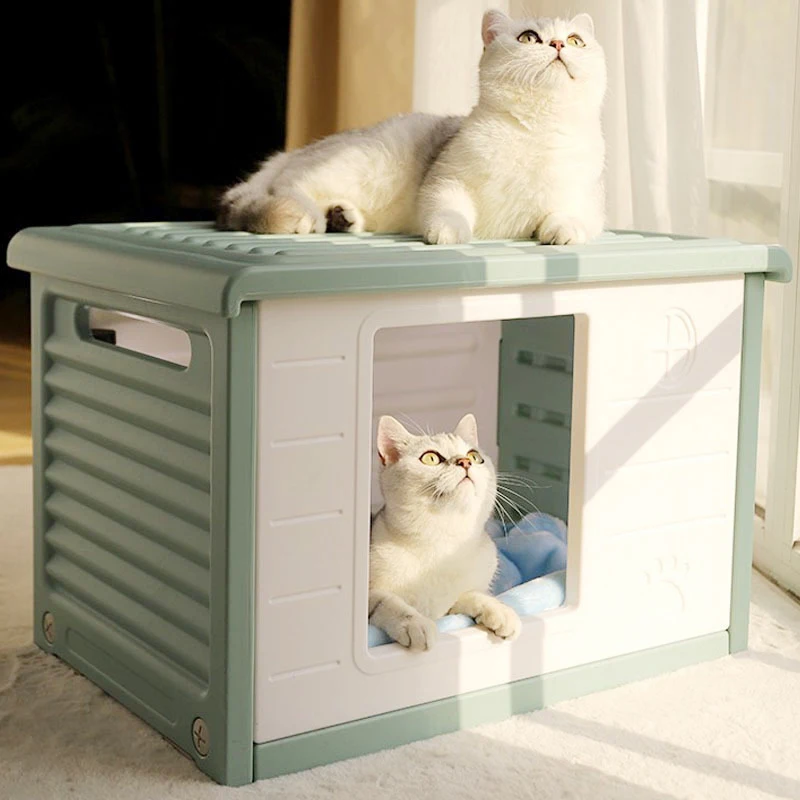 Fashion new cheap waterproof folding plastic indoor small dog bed cat bunk beds pet bed funny